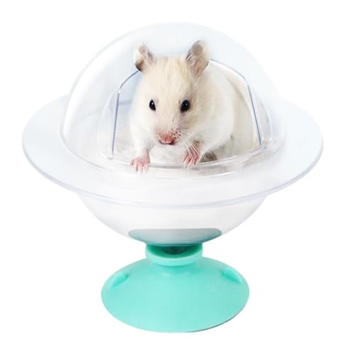 Fanysdsi Hamster-Sandbad-Box, Hamster-Sandbad-Behälter | Duschraum Hamster Chinchilla Sandbad Katzentoilette - Grabsandbehälter, transparenter Lebensraum für Kleintiere für Rennmäuse, Syrischer von Fanysdsi