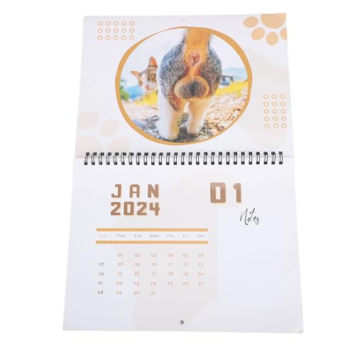 Fdit Katzen-Po-Kalender, Lustig, 12 Monate, Schöner Kalender 2024, Katzen-Po-Kalender, Geeignet für Schlafzimmer, Büro von Fdit