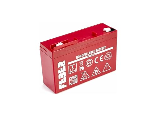 FEBER - 6V Batterie für Elektrofahrzeuge FEBER (Famosa 800003103) von Feber