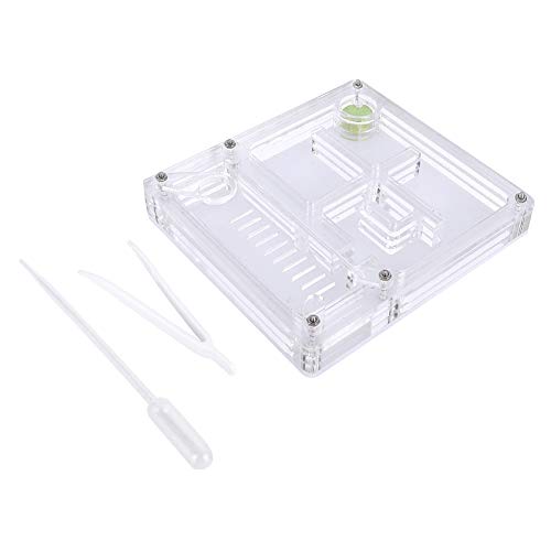 Ameisennistkasten transparent leichte Formicarium für die Ameisenzüchtung Kindergeschenk mit Klemme Droper 11x10x1.7cm von Febuliy