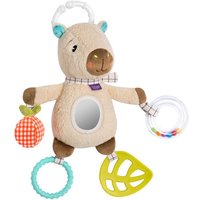 Activity-Capybara Activity-Capybara von Fehn