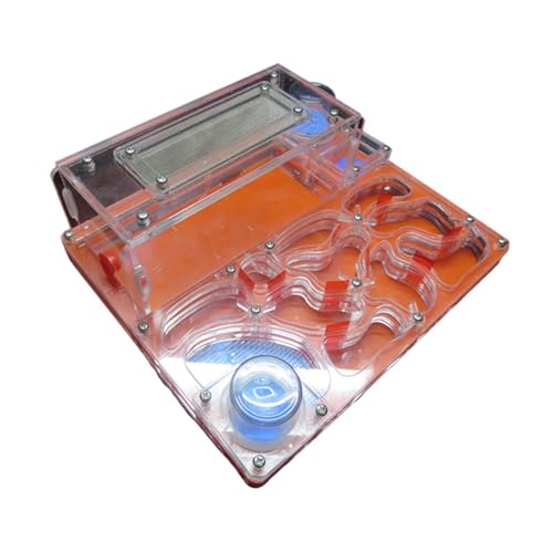 Fenteer Ameisennest-Farm, Ameisenfabrik, DIY, transparente, pädagogisches Spielzeug, Insektenvilla, Haus für Kinder, Stamm-Lernspielzeug, Orange Rot Fenteer Ameisennest-Farm, Ameisenfabrik, DIY, transparente, pädagogisches Spielzeug, Insektenvilla, Haus für Kinder, Stamm-Lernspielzeug, Orange Rot von Fenteer