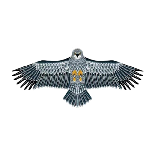 Fenteer Eagle Riesige Kite Outdoor -Aktivitäten lebensechtiges Design einfach zu Family Game Birds Kite für Sport Reisende Gartenfamilie, 2m von Fenteer