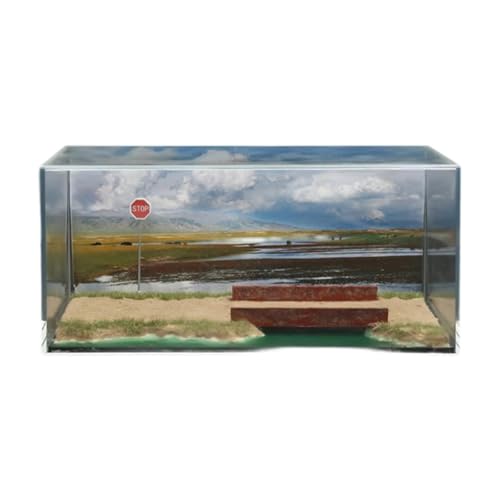 Fenteer Vitrine für Automodelle im Maßstab 1/64, Simulation Einer Feuchtgebietspark-Landschaft, Acrylvitrine für kleine Figuren, Sammlungsdekor von Fenteer