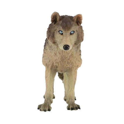 Fhkpsqkcn Detaillierte Wolfsmodell Simulationstierfigur Für Wildtier Enthusiasten Ausstellung Und Unterrichtsunterricht Aus Kunststoff von Fhkpsqkcn