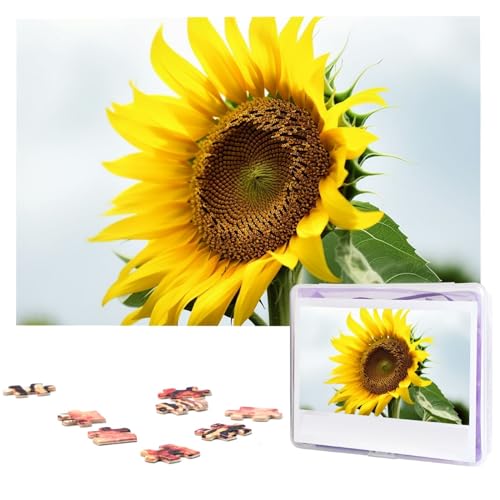 Bloom Sonnenblumen-Puzzle, 1000 Teile, mit Aufbewahrungstasche, personalisierte Puzzles für Männer und Frauen, Bilderpuzzle für Familie, anspruchsvolle Fotos, Puzzle für Heimdekoration (74,9 x 50 cm) von Fhpce