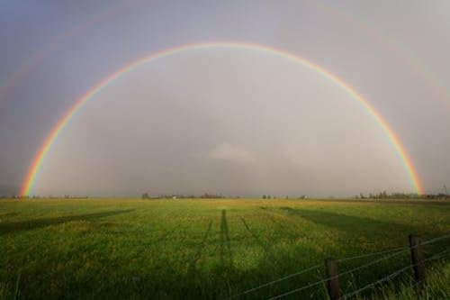 Arc-en-ciel Dans l'herbe – Puzzle en Bois de 15000 pièces – Puzzle amusant en famille Pour adultes et Adolescents von FiXizy