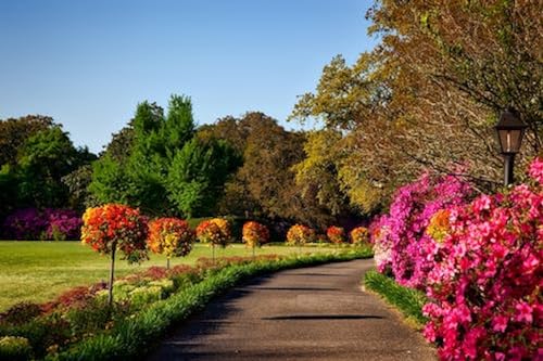 Chemin Dans le Jardin – Puzzle en Bois de 10000 pièces – Grand Puzzle amusant en famille Pour la décoration de la Maison von FiXizy