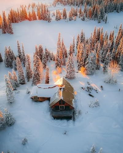 Haus im Schnee im Winter – 1000-teiliges Holzpuzzle – Schwierigkeit und Herausforderung, großes Puzzle, Puzzle-Geschenk von FiXizy