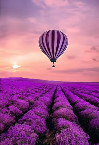 Lila Lavendel und Heißluftballon – 5000-teiliges Holzpuzzle – großes Lernspiel für Erwachsene und Familien von FiXizy