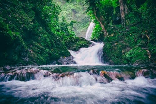 Rivière dans la forêt verte – Puzzle en bois 6000 pièces – Cadeau puzzle pour Les Parents von FiXizy