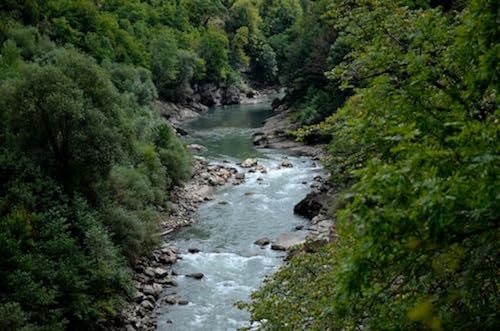 Rivière Entre Les arbres à feuilles vertes – Puzzle en Bois de 15000 pièces – Jeu de Puzzle Pour activités familiales von FiXizy