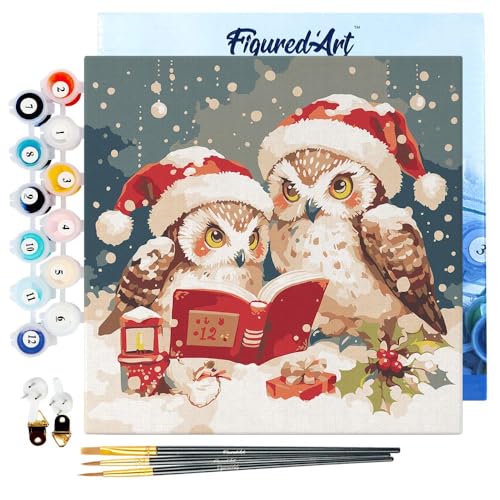 Figured'Art Mini Malen Nach Zahlen Erwachsene Mit Rahmen 20x20cm Kleines Format - Lesende Weihnachts-Eulen - Paint by Numbers Basteln DIY Bastelset Leinwand gespannt auf Holzrahmen von Figured'Art