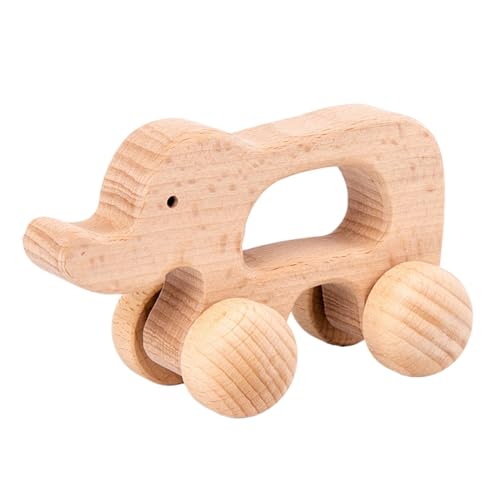 Filvczt Holzautospielzeug, Schiebeautospielzeug, Holztrolley, langlebig, EIN Blickfang, 8 x 5,5 x 7,5 cm für Zuhause, auf Reisen von Filvczt