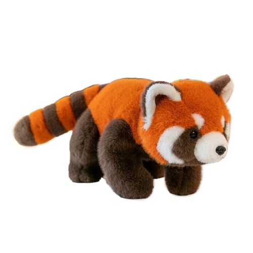 Fiotha Roter Panda Kuscheltier, 30cm Panda Kuscheltier, Roter Panda, Roter Panda Plüschtier, Kuscheltier Waschbär, Red Panda Plush, Kawaii Panda Plüschtier, Geschenke für Mädchen, Jungen von Fiotha