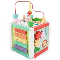 FISHER PRICE 700928 Fisher Price Holz Motorik-Würfel Activity Cube von Fisher-Price