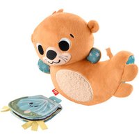 FISHER-PRICE HXG96 Fisher-Price 2-in-1 Bauchlage Otter von Fisher-Price