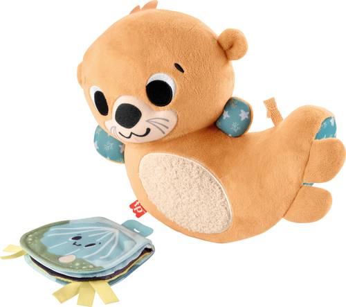 Fisher Price 2-in-1 Wippender Otter zum esielen in der Bauchlage HXG96 von Fisher Price