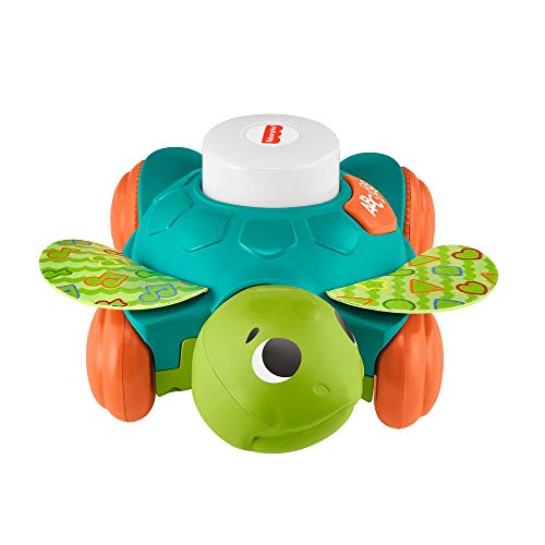 Fisher-Price LK Sea Turtle-QE von Fisher-Price