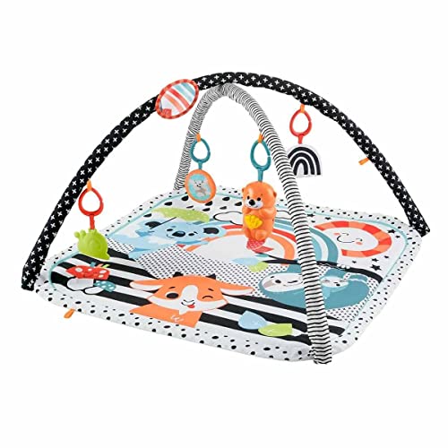 Fisher-Price Spielbogen/Decke Tierfreunde Kontrast-Spieldecke von Fisher-Price