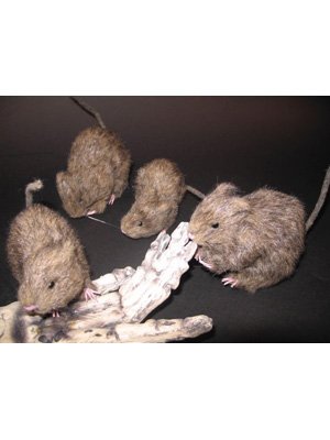 Halloweendeko - 1 Stück Ratte mit Fell - ca. 15 cm von Festartikel-Müller