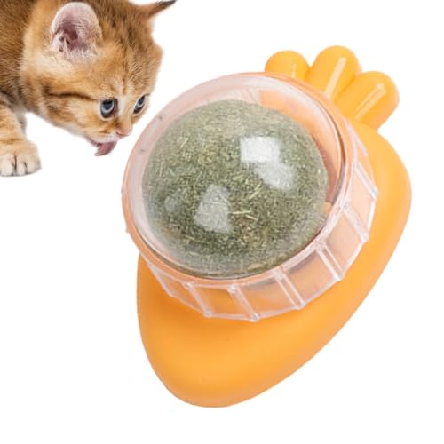 Catnip Balls für Katzen Wand | Catnip Rollerball Wandspielzeug | Drehbarer Katzen-Snack, essbare Bälle mit natürlicher, gesunder Katzenminze-Kugelnuss, Kätzchen, das Kauspielzeug zum Reinigen der Zähn von Flkiglm