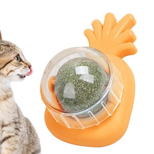 Katzenminze Wandkugel - Wall Catnip Roller zum Lecken von Katzen - Essbares Katzenleckspielzeug, Katzenkauspielzeug, Zahnreinigungskatzenbissspielzeug, drehbares Katzenspielzeug für den Innenbereich, von Flkiglm