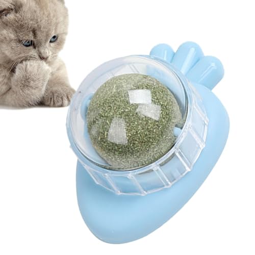 Katzenminze Wandspielzeug | Cat Nips Organic Ball Essbares Kätzchenspielzeug - Drehbarer Katzen-Snack, essbare Bälle mit natürlicher, gesunder Katzenminze-Kugelnuss, Kätzchen, das Kauspielzeug zum von Flkiglm