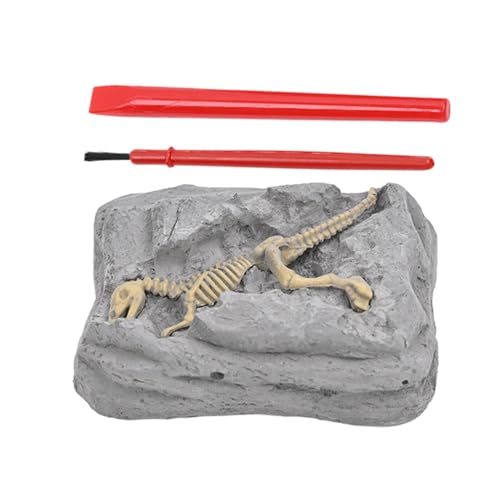 FmtwPhn Dinosaurier Ausgrabungsset,Grabungsset für Kinder - Fossilienset Wissenschaftliches Lernspiel Geburtstagsgeschenk Bastelprojekt Aktivität für Kinder FmtwPhn Dinosaurier Ausgrabungsset,Grabungsset für Kinder - Fossilienset Wissenschaftliches Lernspiel Geburtstagsgeschenk Bastelprojekt Aktivität für Kinder von FmtwPhn