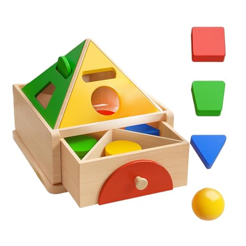 FmtwPhn Farb- und Formsortierbox, Formsortierspielzeug aus Holz - Form- und farblich passende Holzpuzzlespielzeuge in Mehreren Farben - Geometrische Formen und farblich passende Puzzlespielzeuge für von FmtwPhn