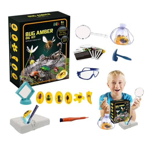 FmtwPhn Fly Excavation Kit, Fly Toys Dig Kits - Bernstein-Ausgrabungs-Wissenschaftsspielzeug - Interaktive STEM-Spielzeug-Wissenschaftssets, Lernspielzeug-Ausgrabungsset, Tiersammlung, künstliche von FmtwPhn