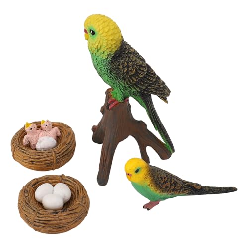 Fockety Mini -Vogel -Tierfiguren, 4 PCs Plastik Realistische Vogeltiere Figuren, Simulierte Vogelfiguren Spielzeug, Bildungsspiel Vogeltiere Modell für Zuhause, Büro, Partydekoration von Fockety