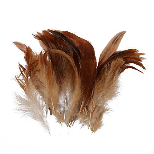 Foemey Natürliche Hahnfeder, Hahn, Dekoration – perfekt für Kostüme, Hüte, Innendekoration, etc von Foemey