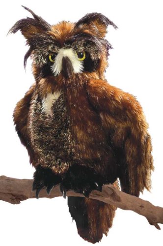 Folkmanis Great Horned Owl Hand Puppet Folkmanis Great Horned Owl Hand Puppet von Folkmanis