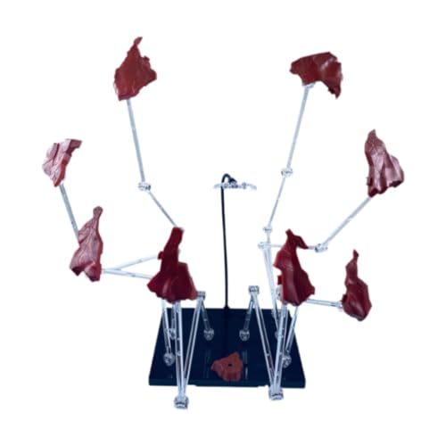 Folpus Actionfigurenständer, Hobby-Action-Basis, kreativer, Stabiler Halterungsständer mit dekorativem in Form eines fliegenden Felsens, Rot Folpus Actionfigurenständer, Hobby-Action-Basis, kreativer, Stabiler Halterungsständer mit dekorativem in Form eines fliegenden Felsens, Rot von Folpus