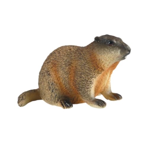 Folpus Groundhog Model Figur Frühes Bildungsheimdekor Simulation Marmots Skulptur Desktop Orament für Kinder Jungen Mädchen, Hocken von Folpus