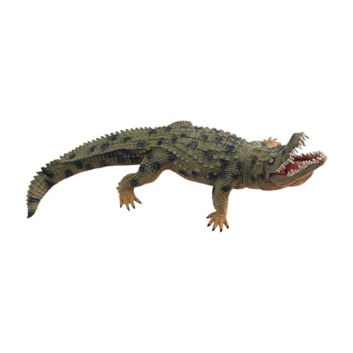 Folpus Krokodilfigur, Spielzeug, Alligatorfigur für Jungen und Mädchen, Geschenk für, dekorative, weiche Kollektion, realistisch, pädagogisch, GrÜn Folpus Krokodilfigur, Spielzeug, Alligatorfigur für Jungen und Mädchen, Geschenk für, dekorative, weiche Kollektion, realistisch, pädagogisch, GrÜn von Folpus