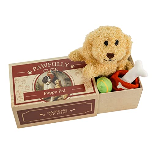 Foothill Toy Co. Animals in Boxes Spielset "Bandit the Dog" mit Stoffwelpen und Zubehör von Foothill Toy Co.