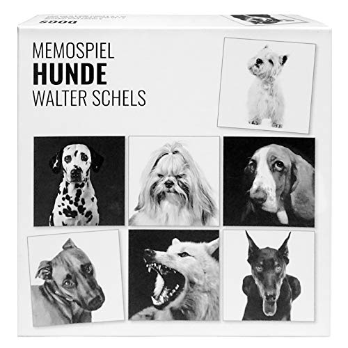 Fotografenverlag Hunde MEMOSPIEL Walter Schels Fotografenverlag Hunde MEMOSPIEL Walter Schels von Fotografenverlag