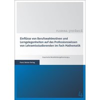 Stefanica, F: Einflüsse von Berufswahlmotiven von Franz Steiner Verlag