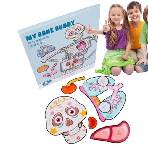 Fravsiu Anatomie Puzzle des menschlichen Körpers, Bodenpuzzle für Kinder der menschlichen Anatomie | Körperteile Organe Muskeln Skelett und Knochen Puzzle Spielzeug,Körperpuzzle für Material von Fravsiu