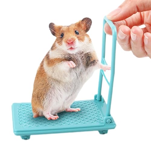 Hamster Toy Cart, Small Animal Play Cart, Hamster Enrichment Toy, Chinchilla Bed Toy, Pet Toy Cart, Hamster Cage Accessories, Small Animal Accessories, Interactive Hamster Toys, von Fravsiu