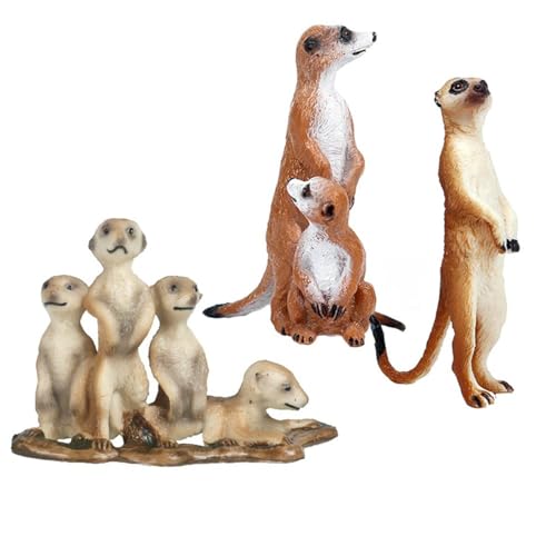 Tierfiguren, 3 Stück, realistische Kunststoff-Erdmännchen-Tiere, Action-Modell, Wissenschaftsprojekt, Lernspielzeug, Geburtstagsgeschenk, Kuchenaufsatz für Kinder und Kleinkinder Tierfiguren, 3 Stück, realistische Kunststoff-Erdmännchen-Tiere, Action-Modell, Wissenschaftsprojekt, Lernspielzeug, Geburtstagsgeschenk, Kuchenaufsatz für Kinder und Kleinkinder von Freefire