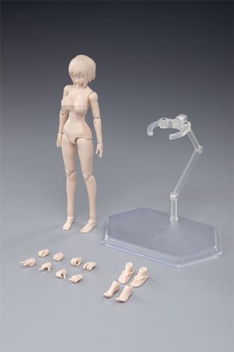 1/12 Skala Weiblich Körper,6inch Female Joint Flexible Action Figur Körper mit Kopf Sculpt&Stand Sammlung (T86-ST04 Blasse Haut Huge Bust) von Fremego