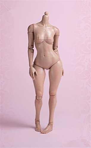 1/6 Maßstab Weiblicher Körper, 12 Zoll Worldbox Weibliche Flexible Pale Suntan Haut Action Figur Körper Sammlung (Suntan Haut, Fat Version) von Fremego