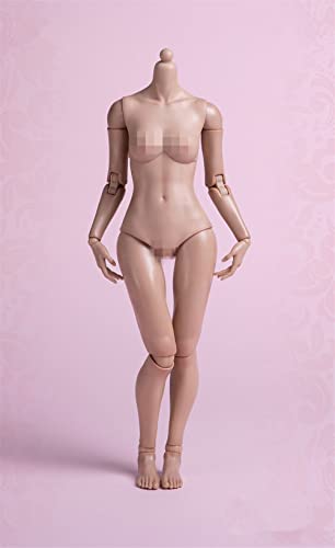 1/6 Maßstab Weiblicher Körper, 12 Zoll Worldbox Weibliche Flexible Pale Suntan Haut Action Figur Körper Sammlung (Suntan Haut, Standard Version) von Fremego