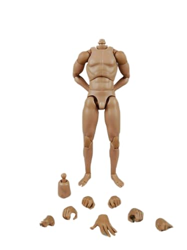 1/6 Skala Männlichen Körper, 12inch COOMODEL Flexible Muskulöse Männliche Nackte Action Figur Neue Standard Schmale Schulter Körper Sammlung (BD001-Schmale Schulter-25CM) von Fremego