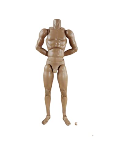 1/6 Skala Männlichen Körper, 12inch COOMODEL Flexible Muskulöse Männliche Nackte Action Figur Neue Standard Schmale Schulter Körper Sammlung (BD002-Schmale Schulter-27CM) von Fremego