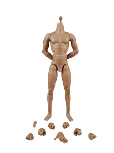 1/6 Skala Männlichen Körper, 12inch COOMODEL Flexible Muskulöse Männliche Nackte Action Figur Neue Standard Schmale Schulter Körper Sammlung (BD003-Muskelkörper 25CM) von Fremego