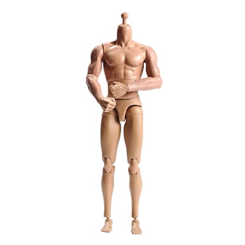 1/6 Skala Männlicher Körper, Männlich 12inch Flexible Muskulöse Action Figur Körper Asien Haut Langer Hals Miniatur Figuren Sammlung(B) von Fremego